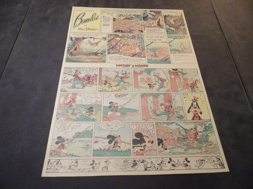 Bambi topolino 19 luglio - -,