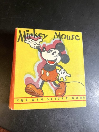 Libro piccolo grande topolino - grande,